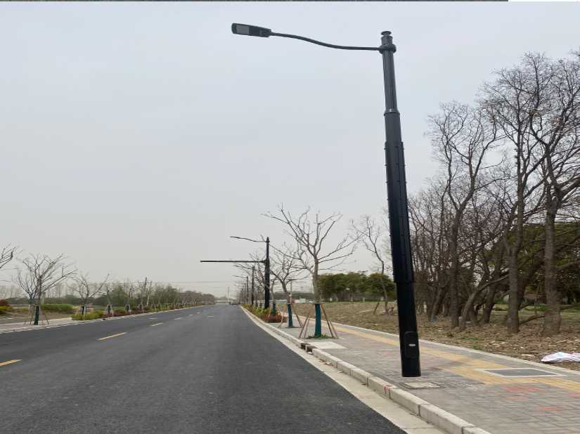 富宁县上海综合杆 太阳能路灯工程